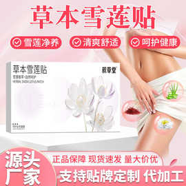 草本私密雪莲贴女士专用护垫护理垫纯棉草本保养植萃温灸贴