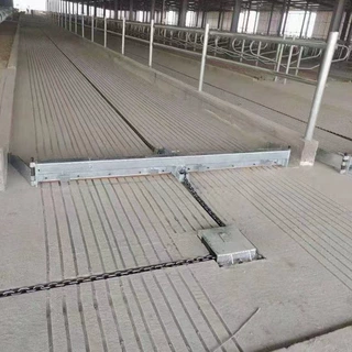 厂家牛羊养殖场用粪便清理刮粪板不锈钢刮粪设备长度定制全自动