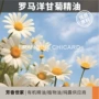 印度有机美容院单方精油