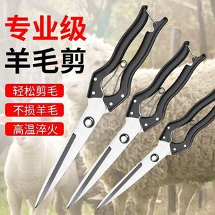 ��ë�����ք�����ë���ü��ֹ��ļ��Ӽ���ë��ëţë��ë����