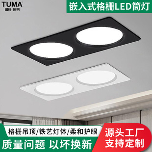 Embedded Led Grid Downlight, Bold Light, Square All-Aluminum Ceiling Light, Double-Headed Light, Indoor Lighting