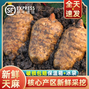 �������r�����ͨС�݉η�Ұ������5g�ڰl��Ş��