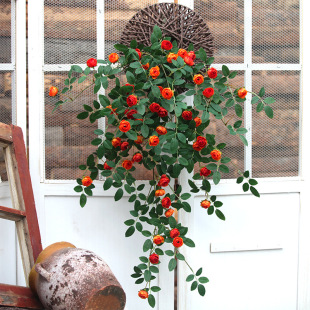 ���õ�廨�ٱڒ��������ٗl�b������ϻ��������m��c����