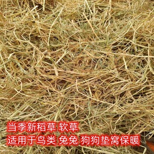 ����|�C�ɵ��ݹ� ؈ �u �� �Z �� �B����䁸Cȡů����ܛ����