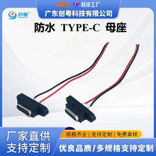 TYPE-C 2PIN ���ݽz�׺���ʽ��ˮĸ�� ������� ���p�� ���� ����