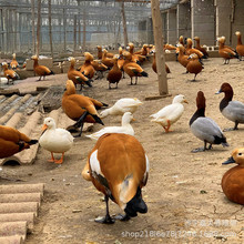 �����к����Z���w�Bֳ�� Ó�غ����Z�� �����Z���w �^�pˮ�ݹ���