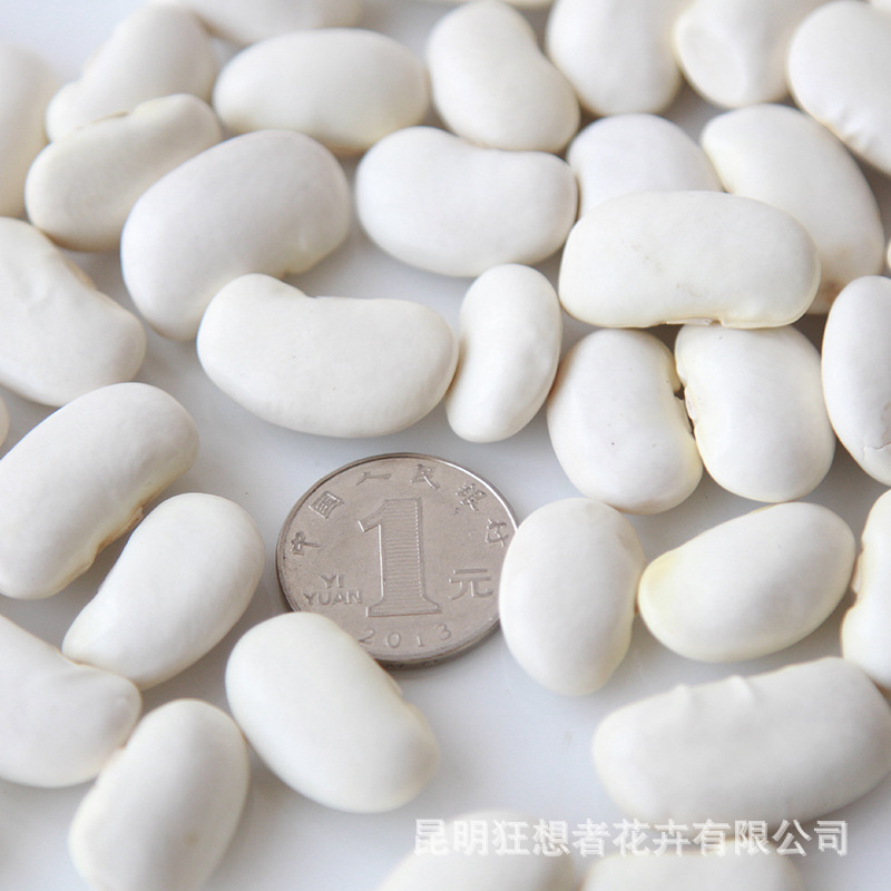 Đậu trắng (một gói 20g, khoảng 7-9 miếng, đường kính khoảng 1-2.5CM)