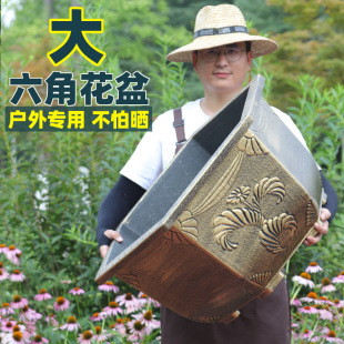 ��ڏ����~���ǷN�������辰����S��ֱ�N����÷����ͥԺ���l�Gֲ