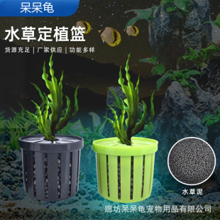 �����~��ˮ�ݶ�ֲ�@�쾰�b��B�ݱ����̸ܹ���ˮ������׹̶���