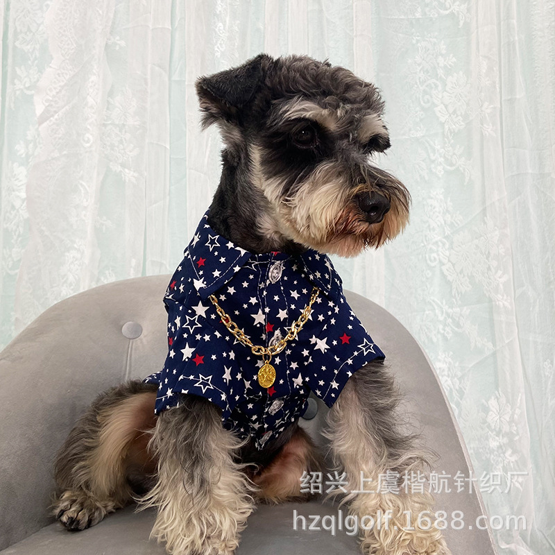 ����̩��ѩ������С��Ȯ������װ���ǻ��Ƴ����������ķ�ɹ����