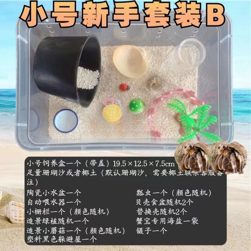 寄居蟹专用饲养爬宠饲养盒昆虫观察盒新手套装饲养缸寄居蟹套餐|undefined