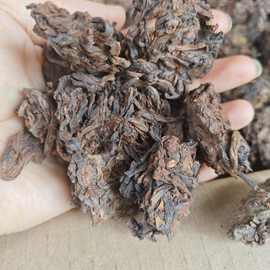 黄金芽老茶头紧压普洱茶自然陈放沱茶散茶 普洱熟茶勐海纯料古树