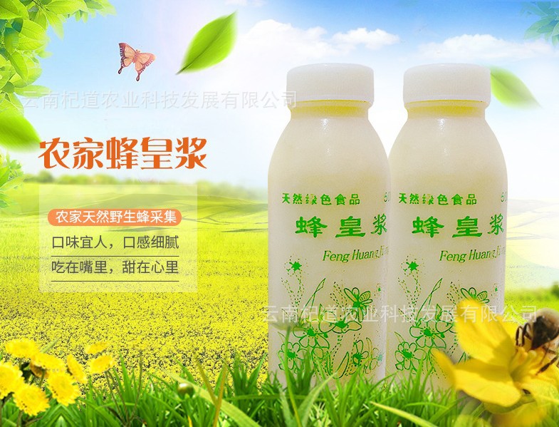 蜂王浆批发 蜂皇乳 2021年新货 蜂皇浆活性酶 产地直发 500g/瓶