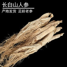 吉林长白山人参生晒参250g盒装整枝原皮参泡酒煲汤送礼之选白全须