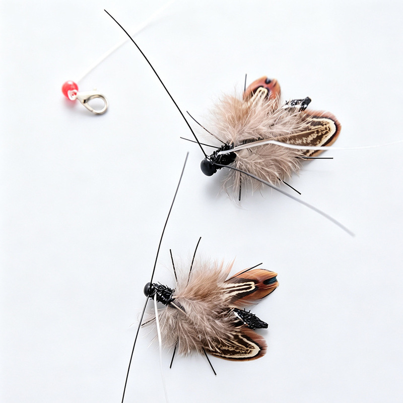 Feather Replacement Head Artificial Beetle Big Wings Cat Toy Pet Toy Manufacturer Wholesale Cat Teasing Stick Replacement Head Feather Replacement Head Artificial Beetle Big Wings Cat Toy Pet Toy Manufacturer Wholesale Cat Teasing Stick Replacement Head