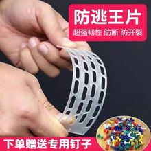 中蜂防逃片防跑王片中蜂防盗片蜂箱养蜂工具防盗蜂隔王片塑料