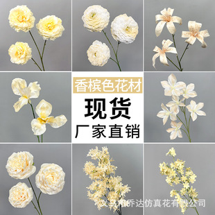 �㙉ɫ���滨��c·������ֲ���Y�����b��Ż��ٻ���ĵ��