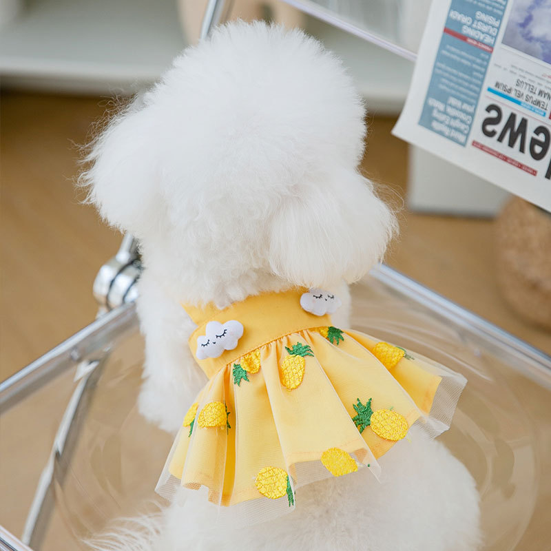 Puppy verano falda liga nube fresa falda de malla bordada gato vestido de dos piernas ropa de perro mascota