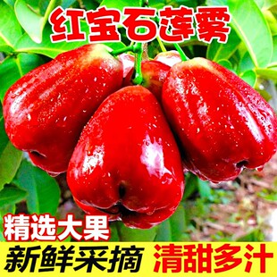 ����ɏ�F�����rˮ��5��t��ʯ�����B�F�����Һڽ����Fժ������]
