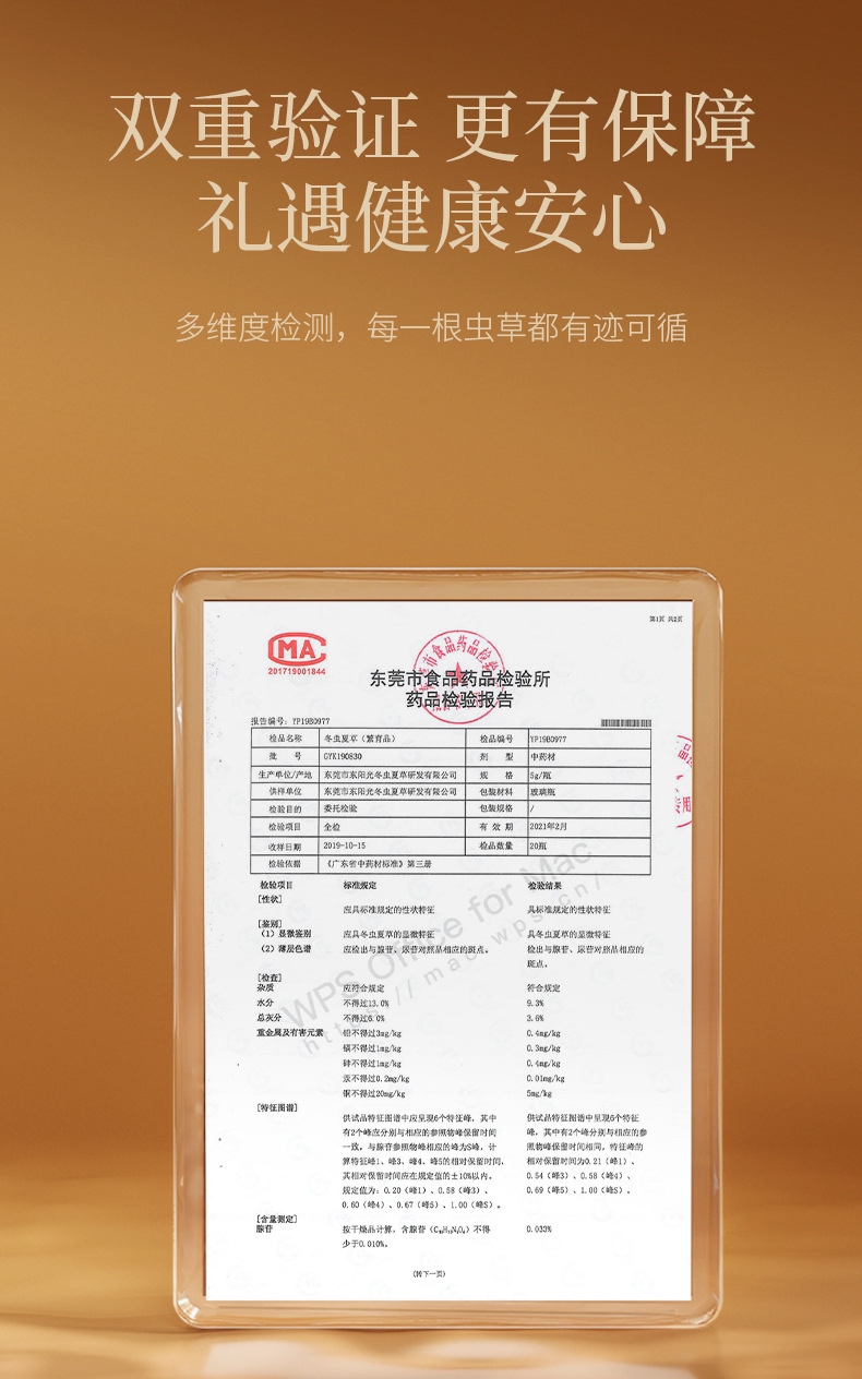 Premium Cordyceps Sinensis Gift Box 20g Wild-Harvested Qinghai Dong Chong Xia Cao preparation