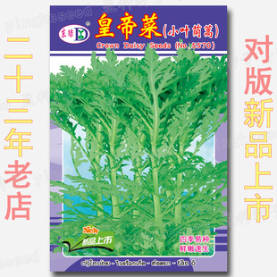 С�~����N�ӻʵ۲˷N�ѹ�U���Ӷ��ļ����̨����ͥԺ�߲˷N��