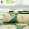 Camellia blooms