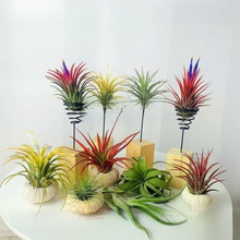 �՚��P��M��֧�ܿ՚�֧�ܵ�����ܟo��ֲ����˾Gֲ��ľ��