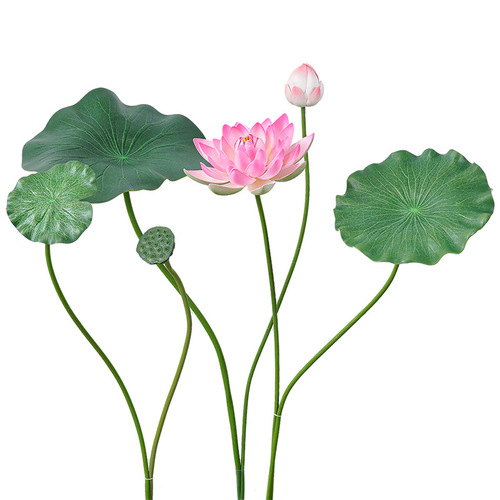 Eva with rod simulation lotus flower, lotus leaf, lotus dance props, swimming pool stage scenic decoration, fake simulation flowers, green plants