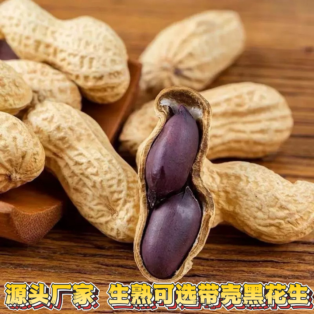 黑花生带壳生熟可选黑花生农家花生好吃高营养大田播种新货