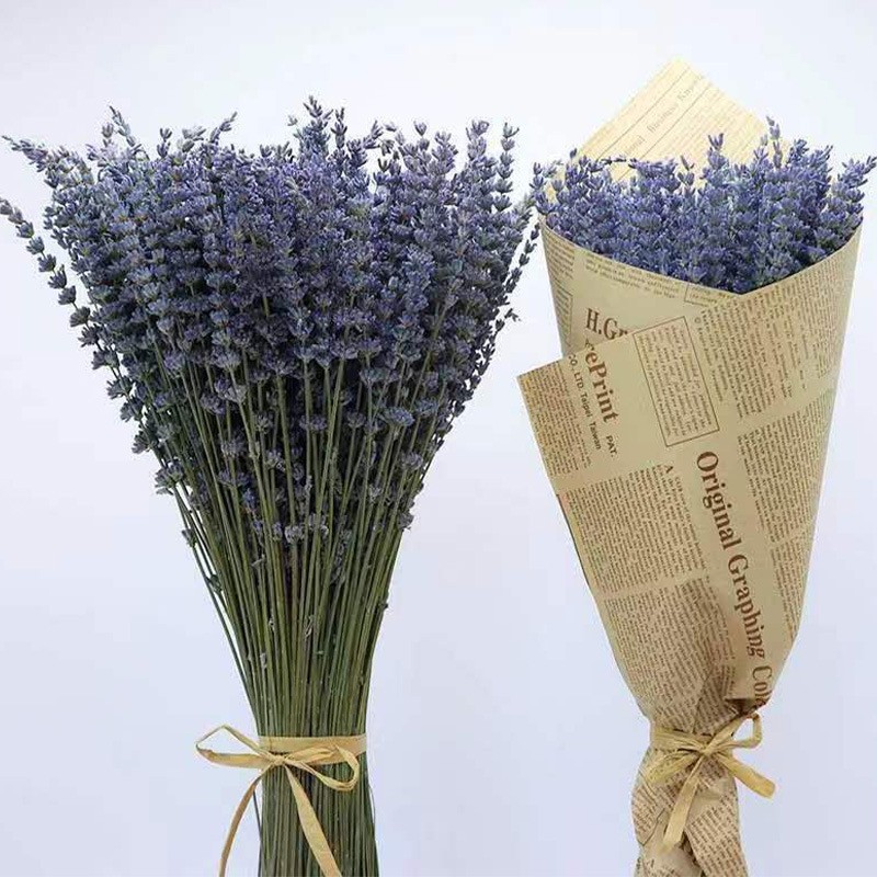 천연 말린 라벤더 꽃 1000g (약 2300개)