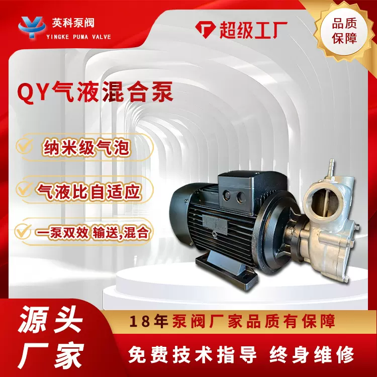 溶气泵QY臭氧水耐腐蚀304不锈钢自吸气浮机电解槽专用气液混合泵