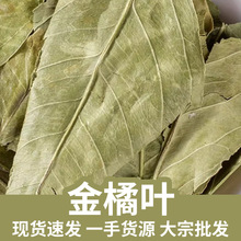 金橘叶批发桔叶零售新货无硫金桔叶产地货源金桔叶厂家直供