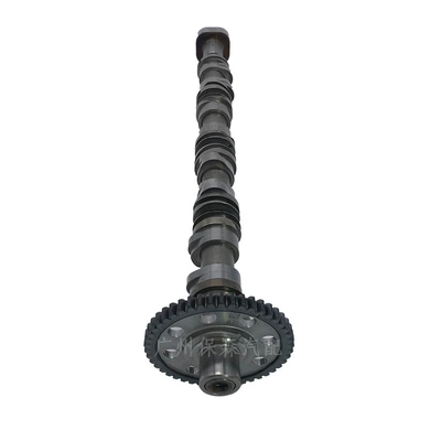 For Audi Volkswagen, Crankshaft, camshaft