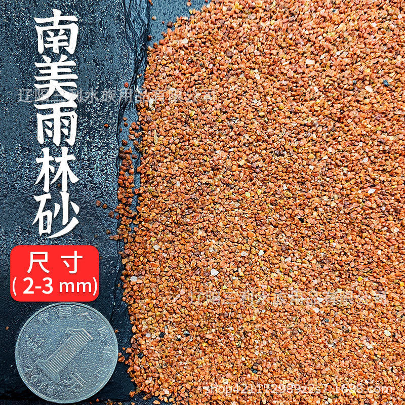 2-3mm 미세 열대 우림 모래 2.5kg