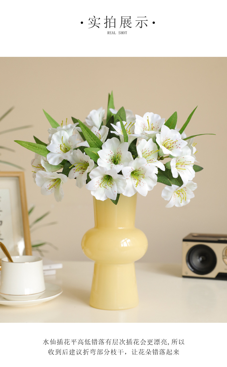 单枝6头水仙_05.jpg