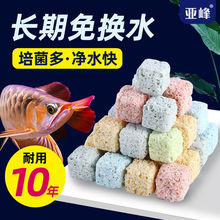 ~^VϞV3dմɭh{ʯӢȫ׃ˮ|峺