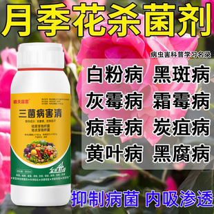 �¼������廨��ֲ��ڰ߲��S�~���~�׷۲����������x������ș���F