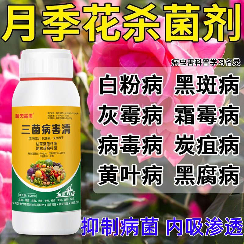 月季病菌清花卉植物黑斑病黄叶蕉叶白粉病杀菌剂病虫害常用药喷雾