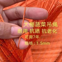 ݆̥�������K��]�����K�����K���ﶹ���S�����t���������뾀