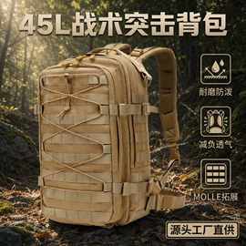 登山、徒步包;户外迷彩;运动腰包
