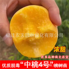 ��Ʒ�N�޽��ձ����������Ҙ���10������Ѯ��������x���S����