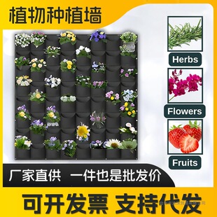 �ڒ��B���Nֲ���Gֲ���费ֱ�N�o����ֲ����ֲ��ֲ�ë�ַNֲ��
