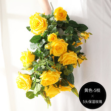 ���ָж��^õ�廨���滨���ٻ��͏d�����k���������ؔ[���b�