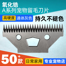 Դ�^���l������Ƽ����^�����ȫV�Ͳ��P䓄ӵ�����������ë��Ƭ