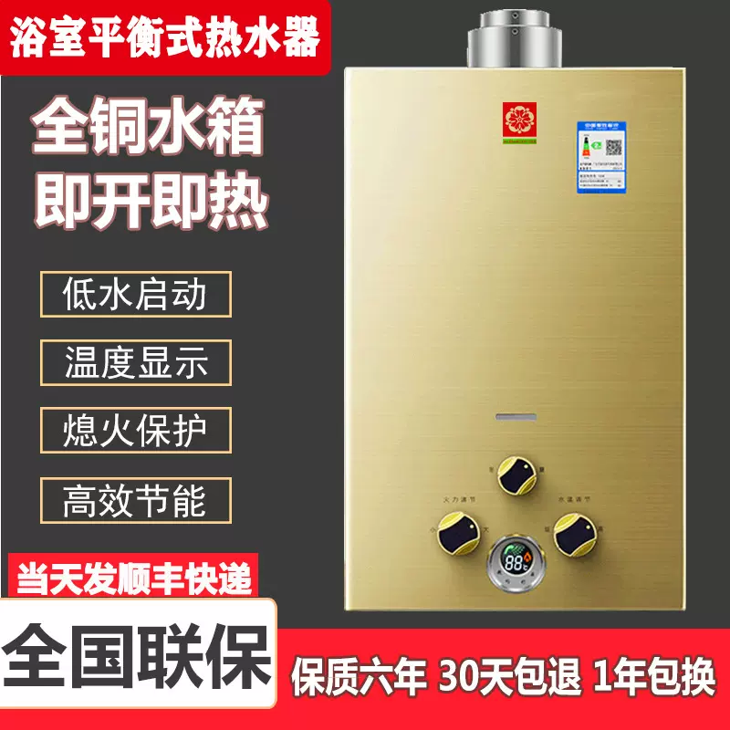 燃气热水器家用液化气式6升8升10升天然气煤气速热包邮节能速热