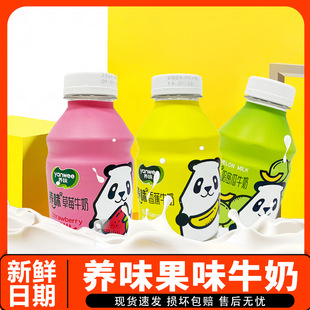 Yangwei Milk Drink 260ml Restored Milk Hami Melon Strawberry Banana Children's Breakfast Milk Leisure Drink