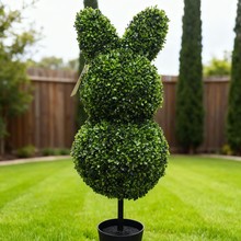 ����Gֲ���ӵز��������������b�Ҿ�ͥԺ�����b[��С�辰