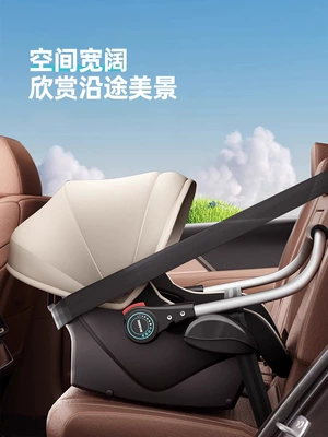 Car child safety seat — Basket Child Safety Seat