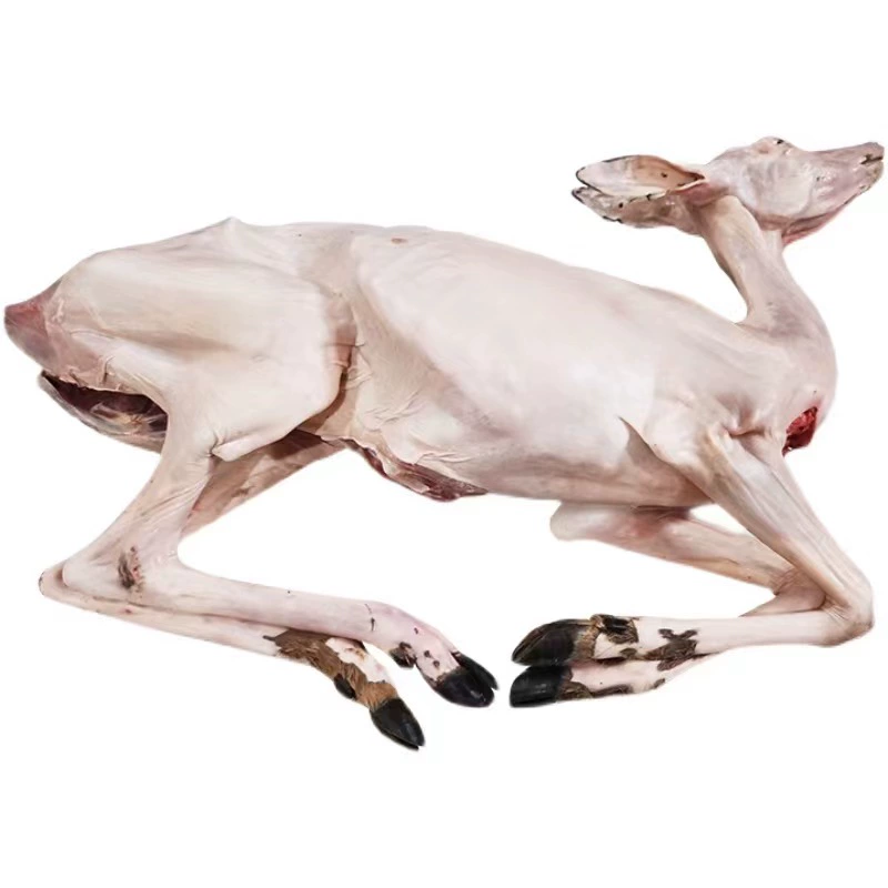 Оптовая продажа белых полосок из оленьего мяса, цельное упакованное мясо оленя из северо-восточной части провинции Цзилинь, свежее мясо оленя с нежной текстурой, прямая поставка с места происхождения.