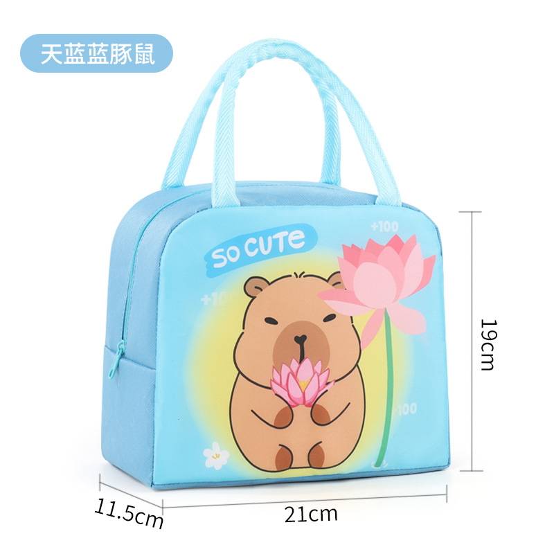 Bolsa de almuerzo infantil de dibujos animados bolsa de almuerzo portátil bolsa de almuerzo aislante de calor bolsa de almuerzo lindo bolsa de almuerzo al trabajo y la escuela estudiantes con bolsa de almuerzo